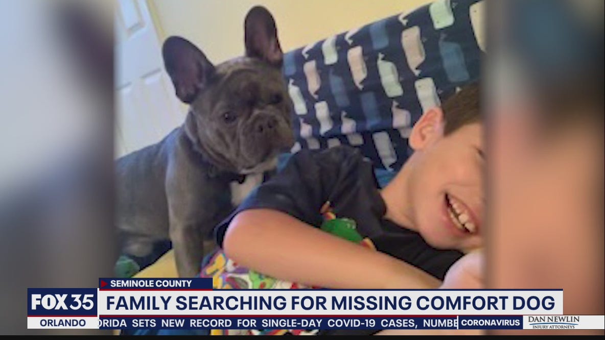 Seminole County family searching for special needs son's comfort dog