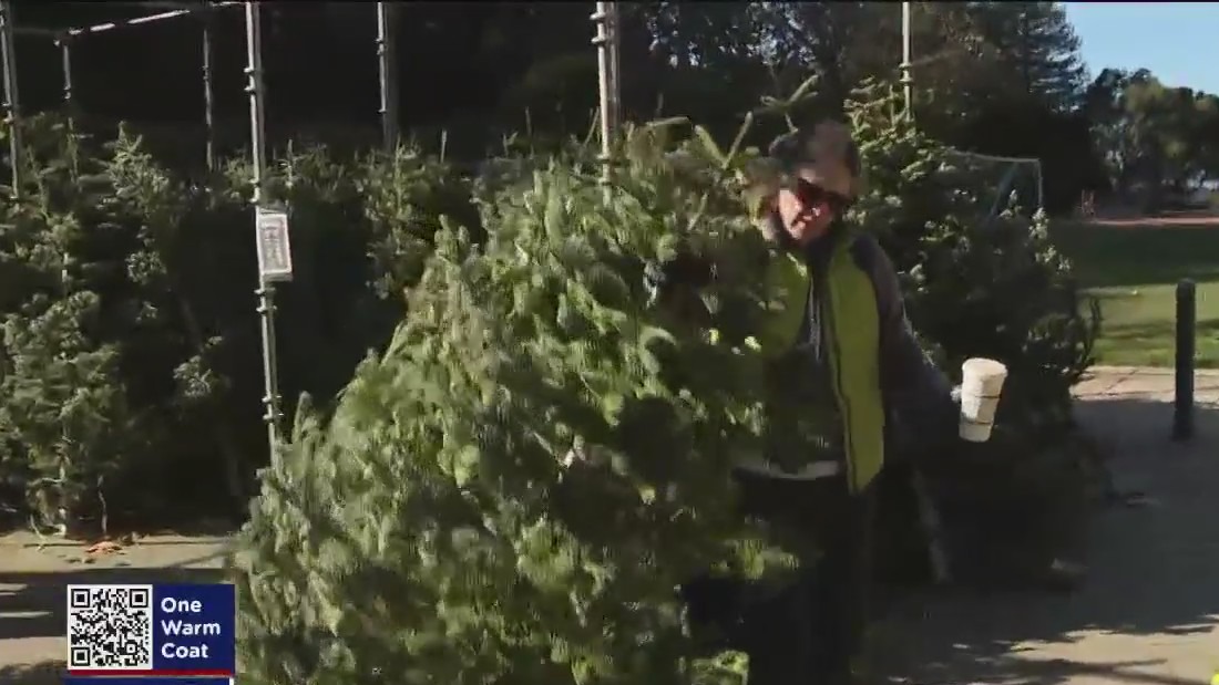 Piedmont's Scouts Tree lot now open for holiday season