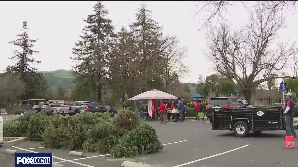 Boy Scouts collect Christmas trees for recycling