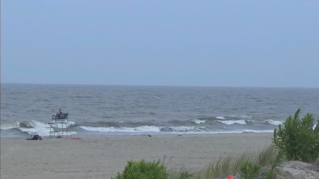 Possible shark attack in Queens