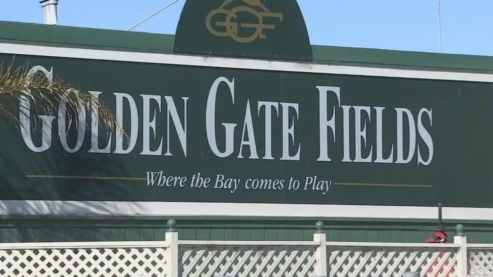 17th racehorse dies at Golden Gate Fields in Berkeley this year