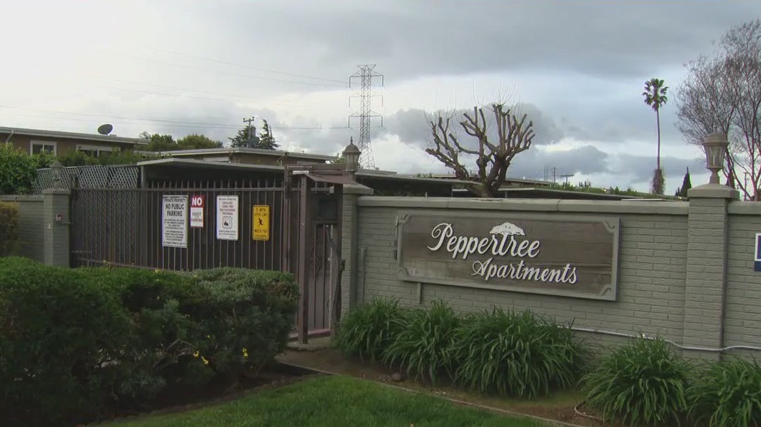 Hayward woman stabbed to death, husband in custody