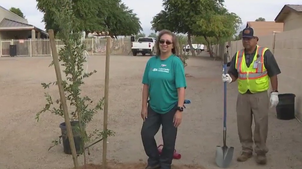 Elm trees planted as gift to far West Valley school