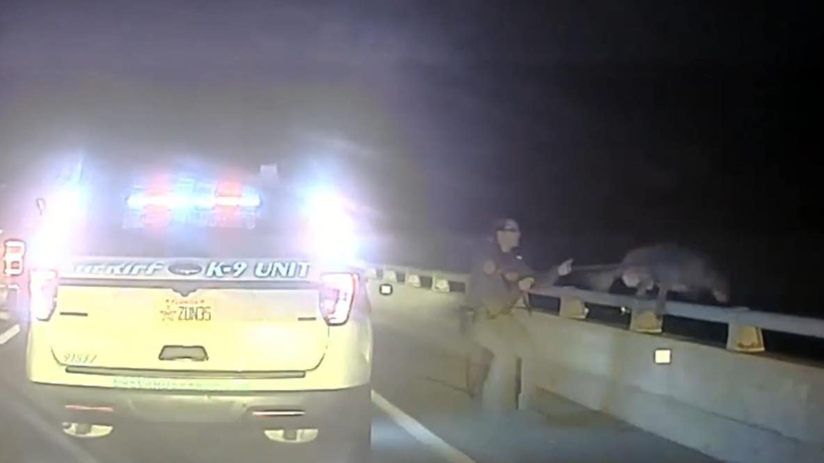 WATCH: Police dog nearly jumps off Florida bridge