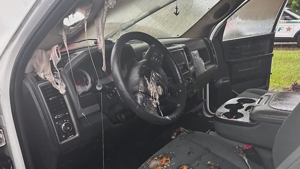 Lightning 'blew the windshield out' of truck