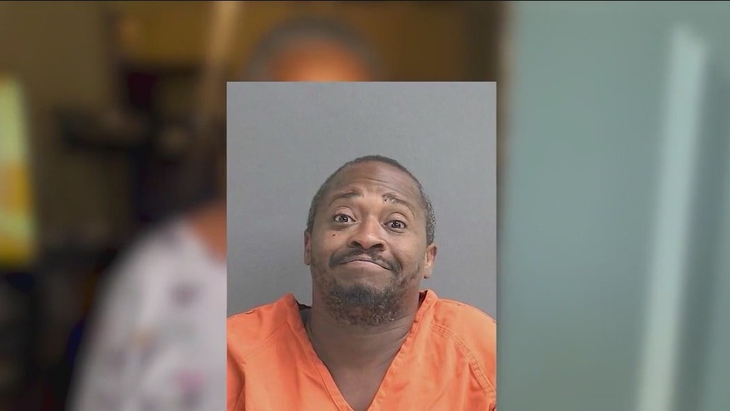 Dogs save owner from alleged burglar