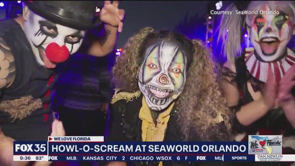 SeaWorld Orlando Howl-O-Scream: What to expect