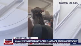 Man allegedly tries to open plane door, stab flight attendant | LiveNOW from FOX