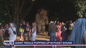 Giant trolls popping up in Puget Sound