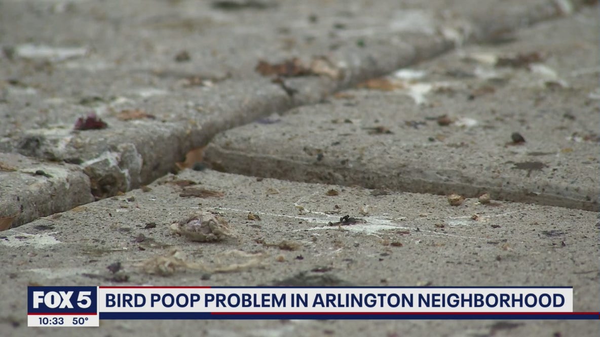 Bird poop causing big problems in Arlington neighborhood