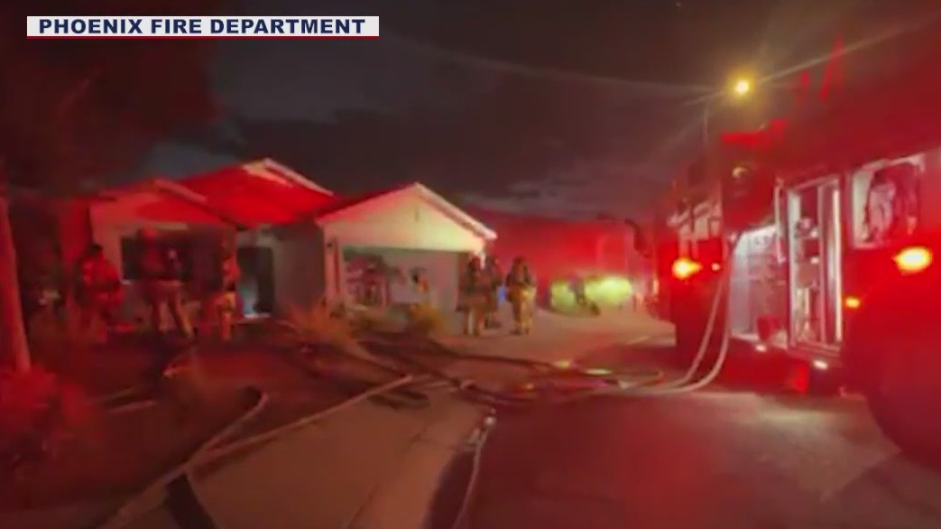 Dog dies in Phoenix house fire