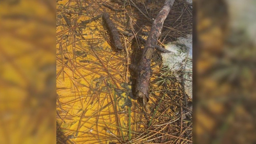 Orange liquid and soil discovered in northern Arizona