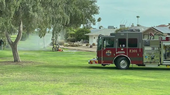 Man stung 2,000 times at Sun City West golf course