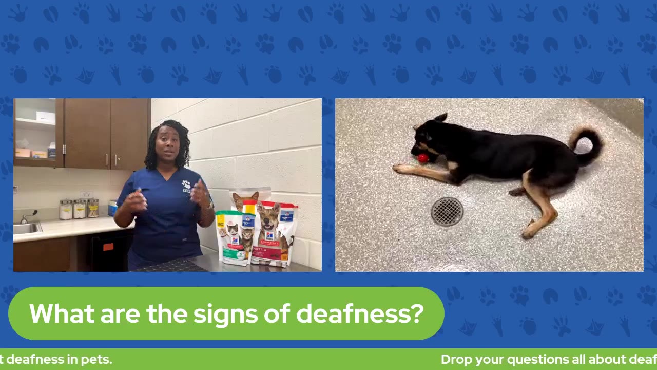 The Pet Pawcast - September 22, 2023