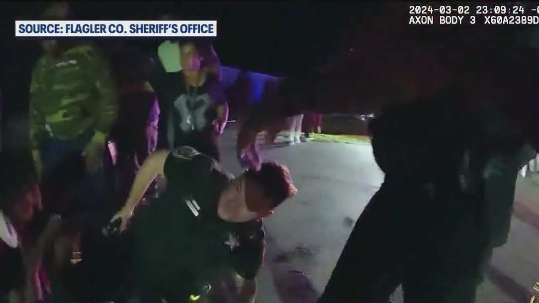 Several arrested after wild brawl in Bunnell
