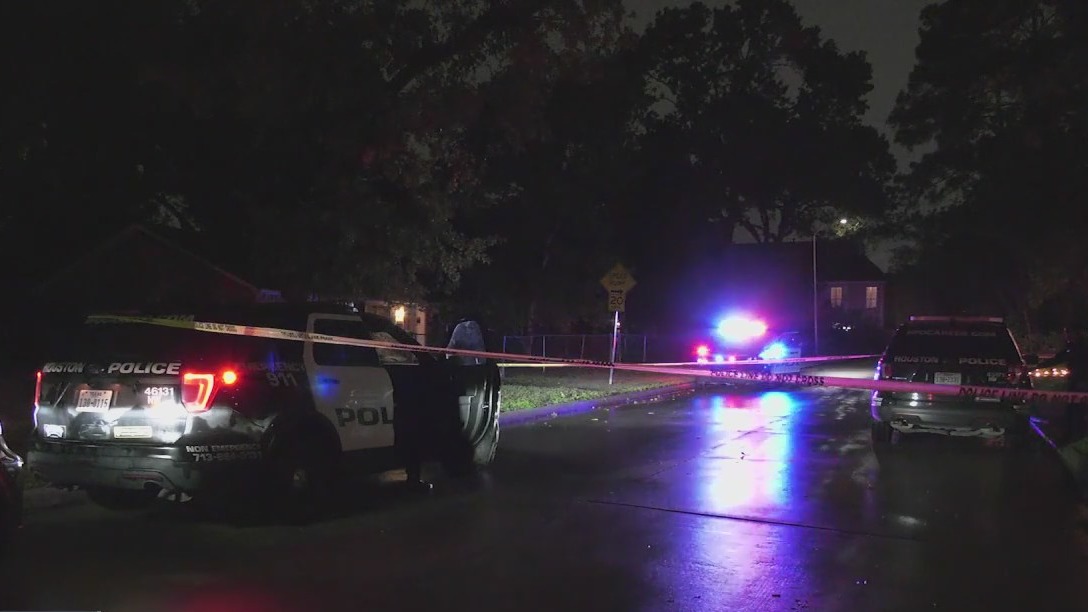 3 domestic violence homicides in Harris County in 24 hours