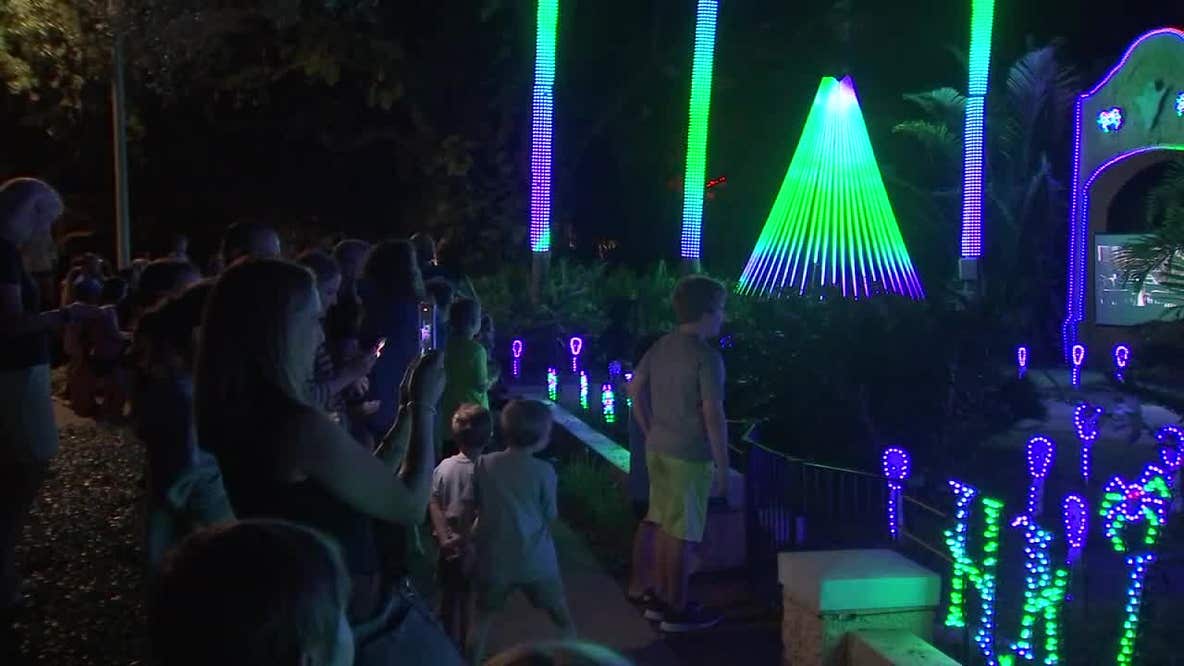 South Tampa Halloween light spectacular delights neighborhood