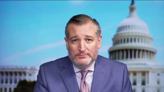 Sen. Ted Cruz on Mayorkas impeachment