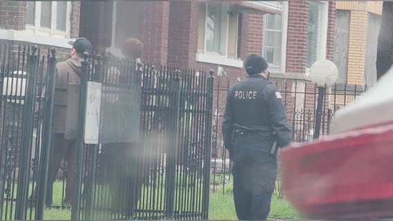 Chicago woman charged after 26 cats found in neglected home