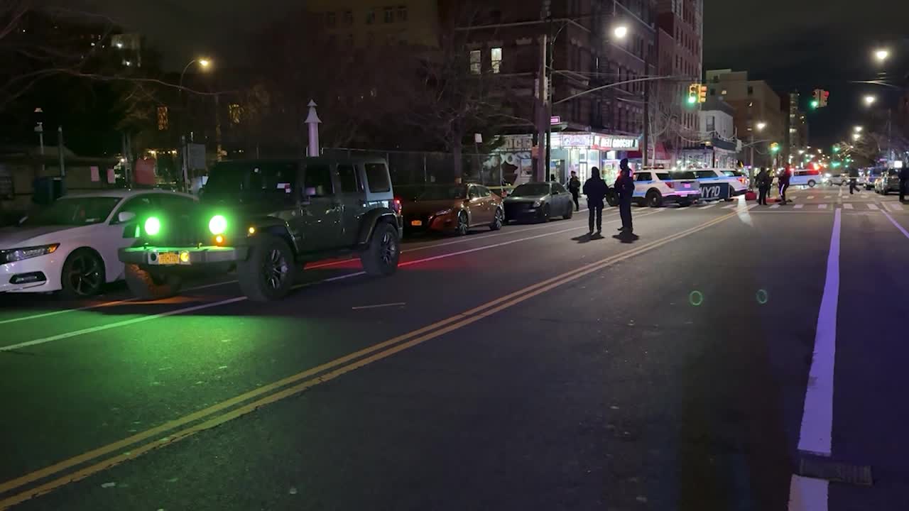 Bronx fatal hit-and-run