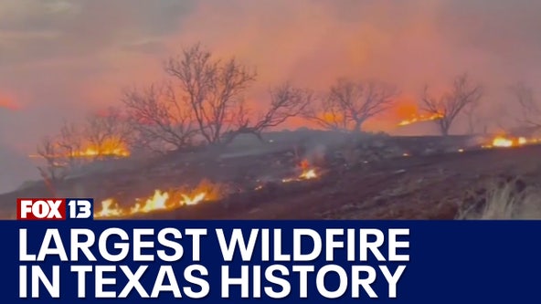 Largest wildfire in Texas history