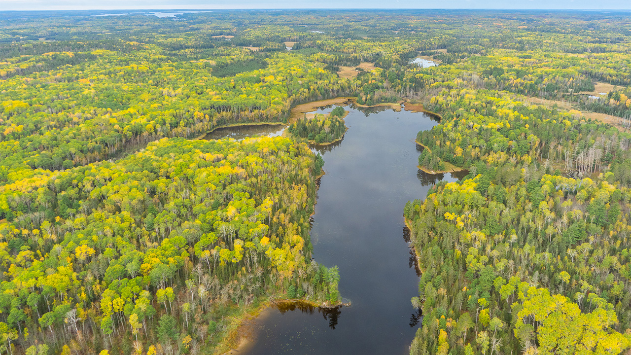 Moose, fall colors captured in aerial photos