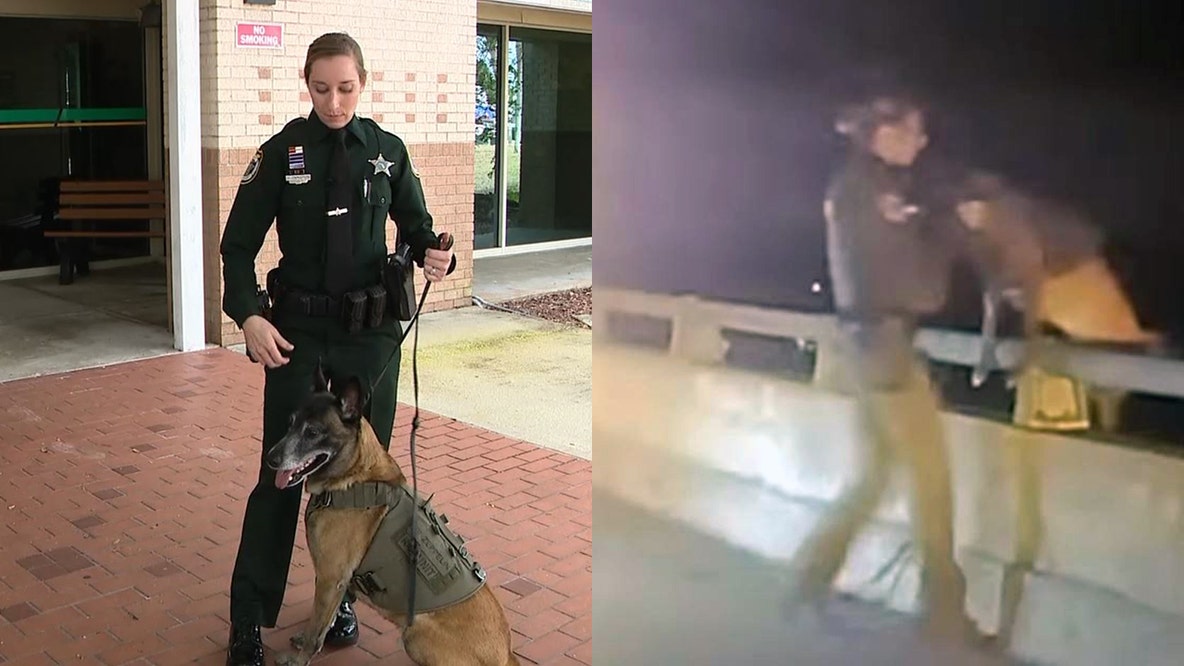 Deputy saves K-9 partner from falling off bridge