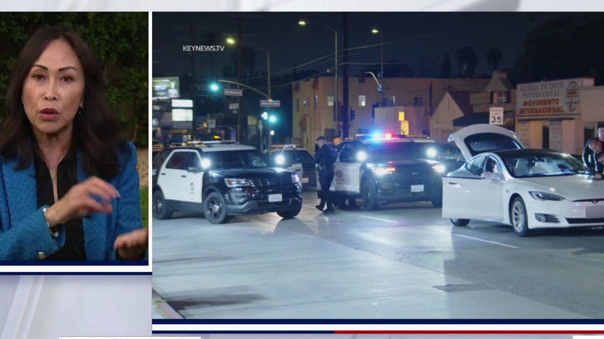 Stolen pursuit Tesla belongs to FOX 11's Susan Hirasuna
