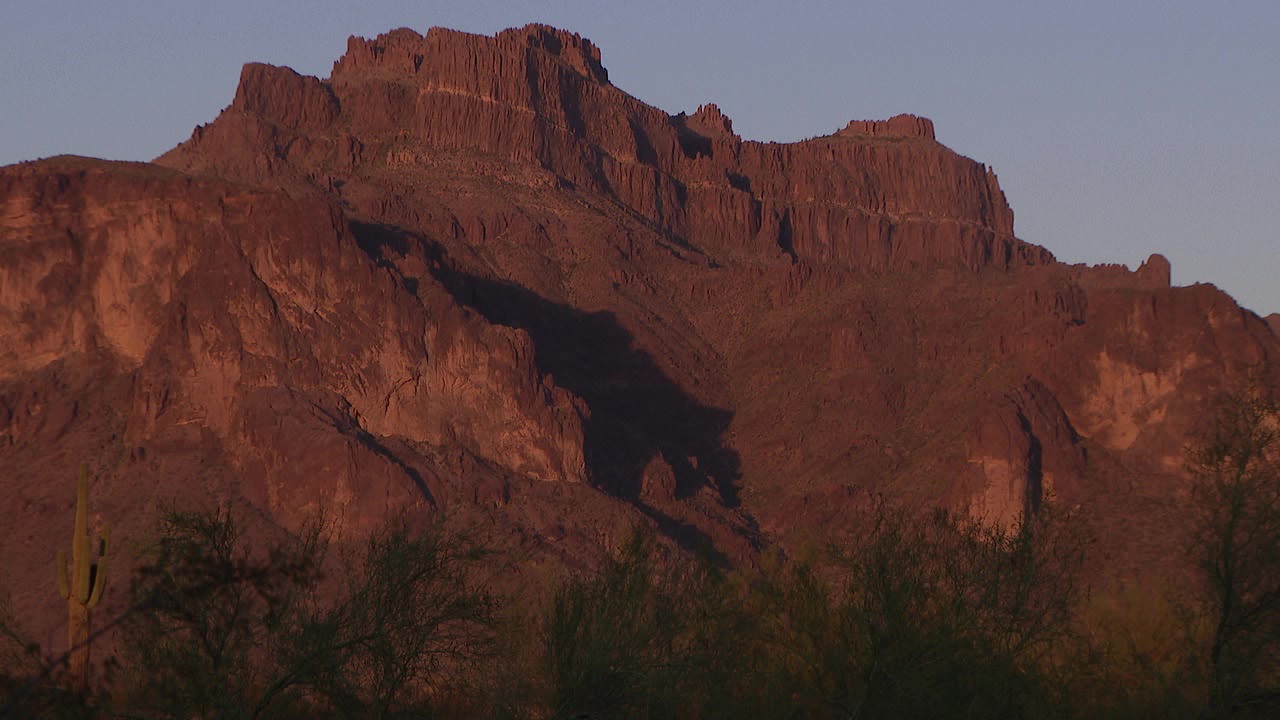 'Cougar shadow' seen in the East Valley