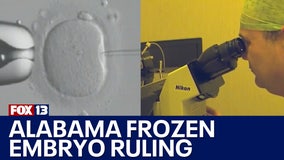 Alabama frozen embryo ruling impacts IVF