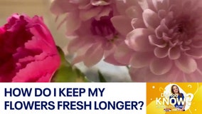 Did You Know?: How to keep my flowers fresh longer