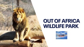 Out of Africa Wildlife Park | Drone Zone