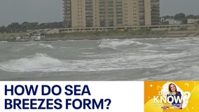 Did You Know?: How does a sea breeze form?