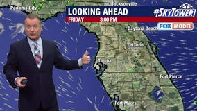 Tampa weather | humidity becoming palpable