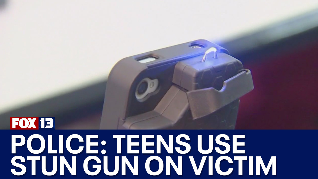 Police: Teens arrested after using stun gun on woman