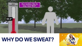 Did You Know?: Why do we sweat?