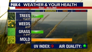 DFW Allergy Report