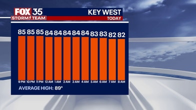 Hour-by-Hour Temperatures