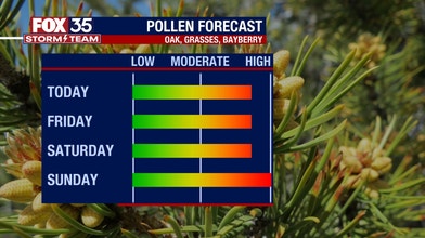 Pollen Forecast