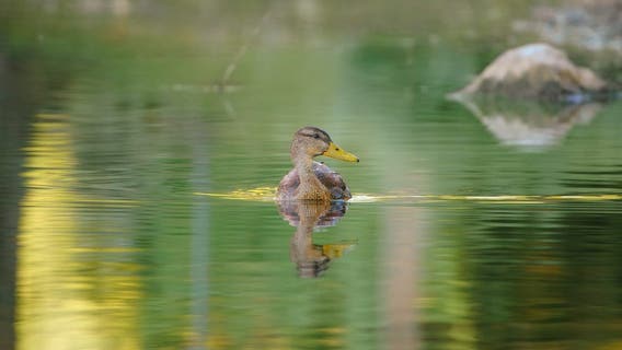 Tracy: Featured Shared Post