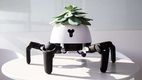 Test post for Sponsored category