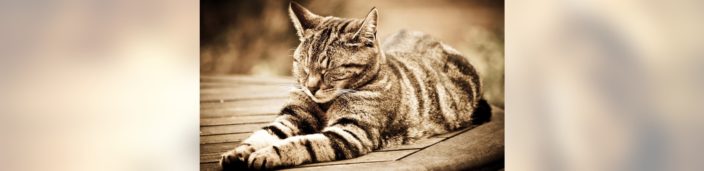 YN Notification check