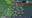Cypress Post 1598493973723Complete post