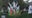 iQA-FTSMOB-551-YouTube Embeds Non-iFrame - Using Shortened URL