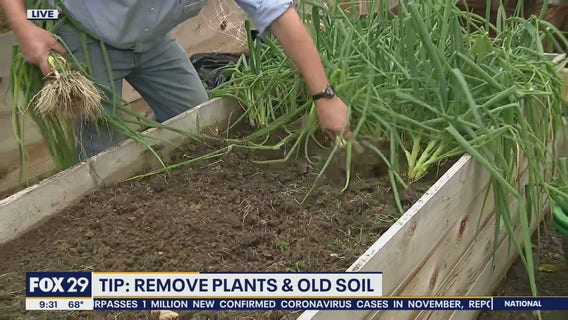 [TEST] R test 253  fox29