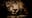 iQA - FTSP-2063 - Test - Only Live Embed