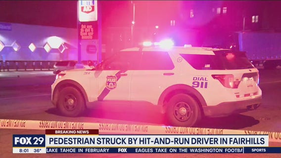 iQA Test Article - Mobile App - Spark Components