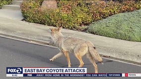 iQA test tags, post from ktvu feb 23