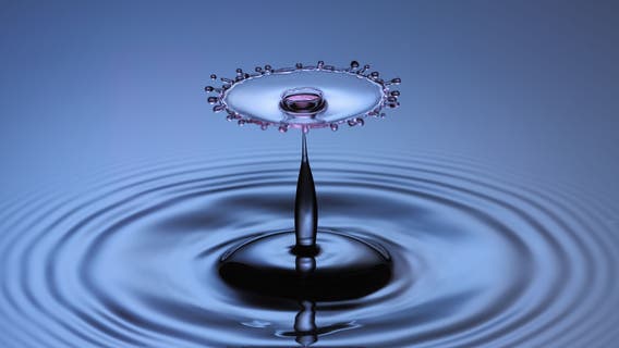 FTSP-5498 KITCHEN Sink Post_Category Election