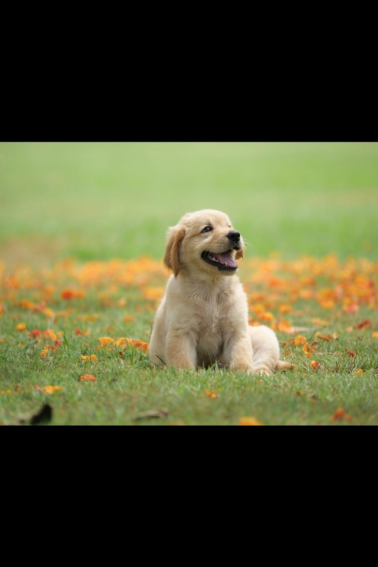 QA Web FE Automation Post – Text Content Validations – DO NOT EDIT/DELETE